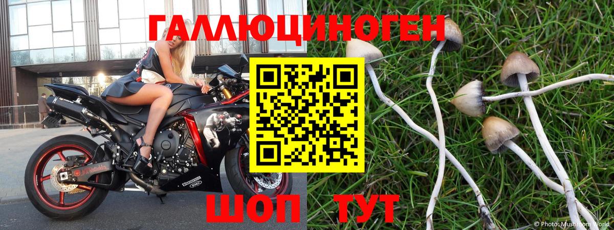 Галлюциногенные грибы ЛСД  Псилоцибиновые грибы MAGIC MUSHROOMS  Вход с VPN  Альметьевск 